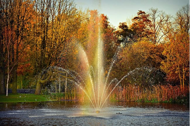 5 essential benefits you enjoy when you buy pond fountains