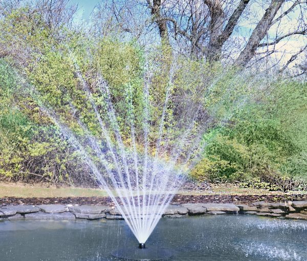 Floating Pond Fountain