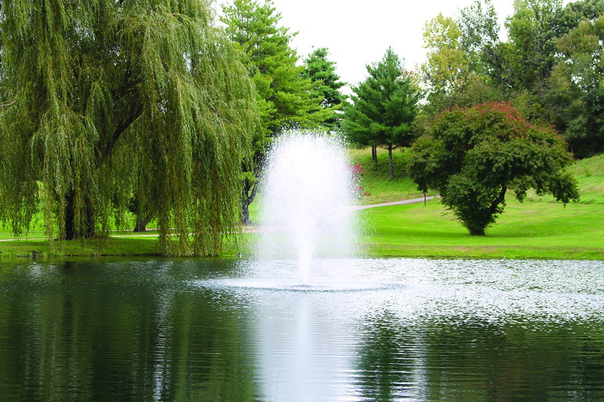 Floating Pond Fountains Give You More than One Way to Make Water the Main Attraction