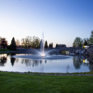 Scott Skyward 3HP Fountain