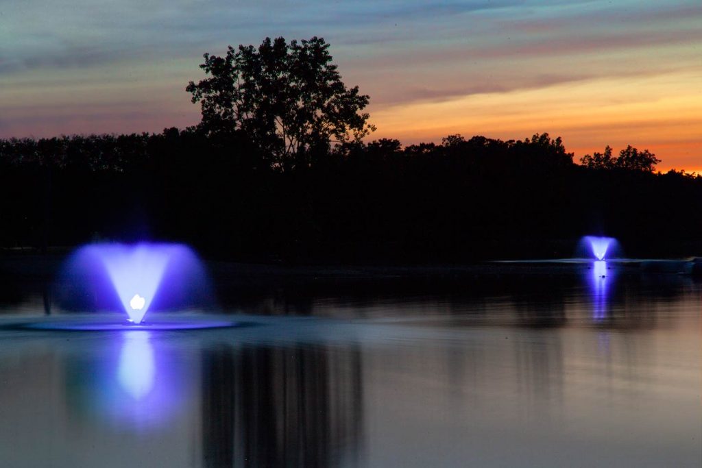 Scott Color-Changing LED with Remote-2 Fixture