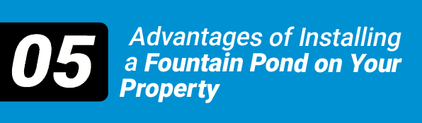 Advantages of Installing a Fountain Pond