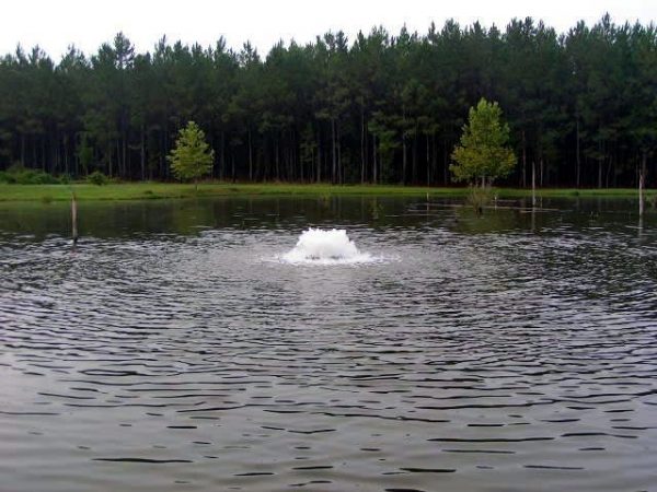 pond aeration