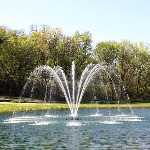 Pond Fountains—Decorative