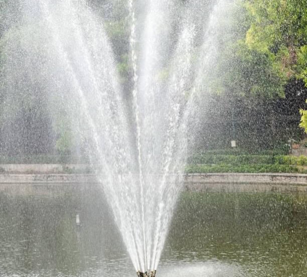 Everything About Surface Water Fountain Pumps
