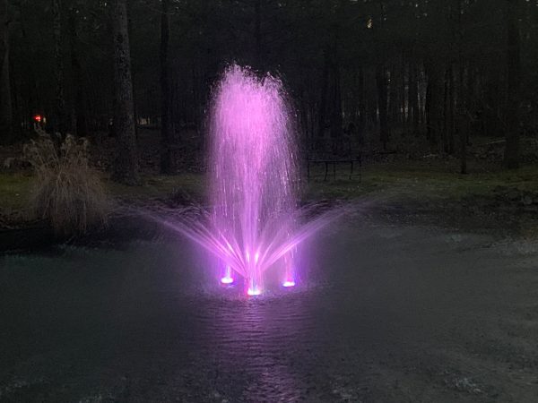 pink fountain