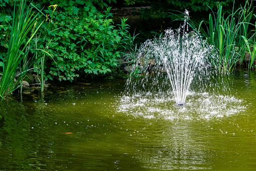 What are Submersible Fountain Pumps and How to Pick the Right One?