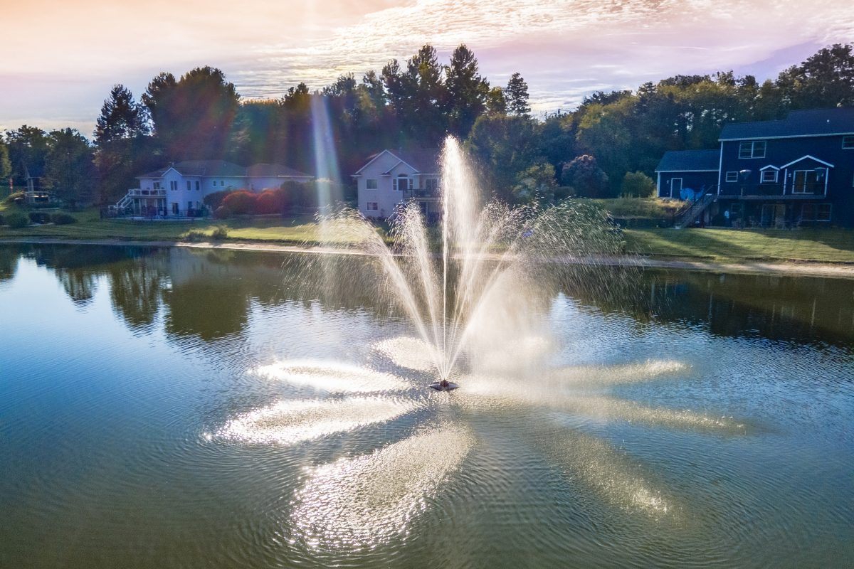 8 Common Fountain Pump Mistakes and How to Avoid Them [Infographic]