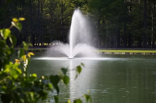 Common Pitfalls to Avoid