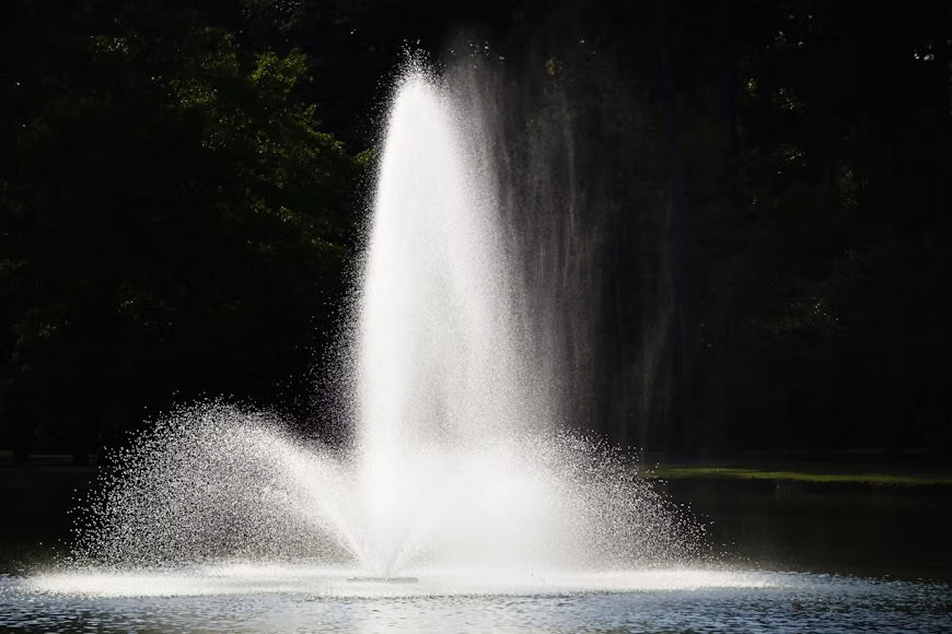 Making Your Final Decision