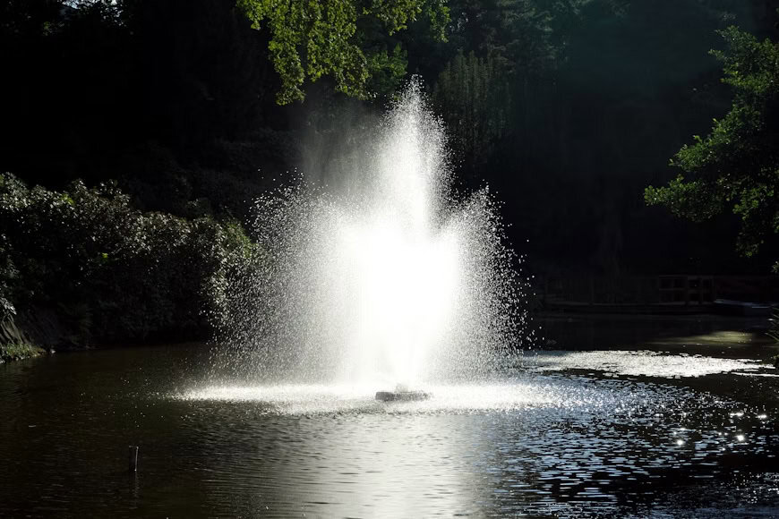 Special Features Worth Considering