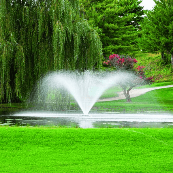 Before Buying a Pond Fountain