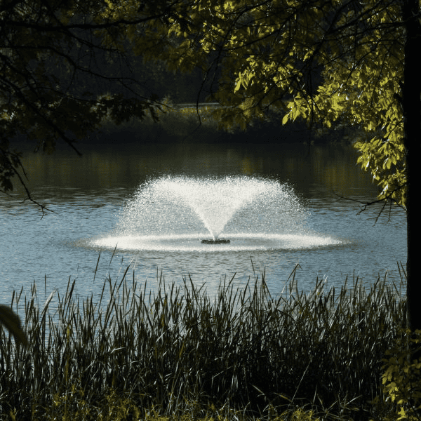 How to Choose Discount Pond Fountains for Small, Medium, and Large Ponds