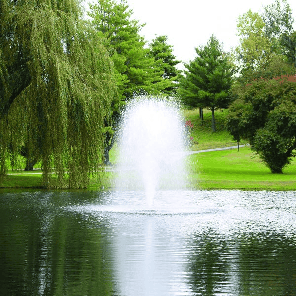 Right Horsepower for Small, Medium, and Large Ponds